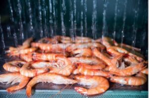 Shrimp glazing equipment